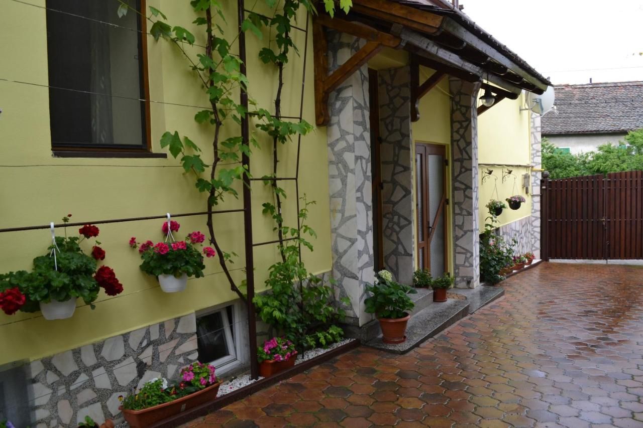 Проживание в семье Casa Maria Şura Mică