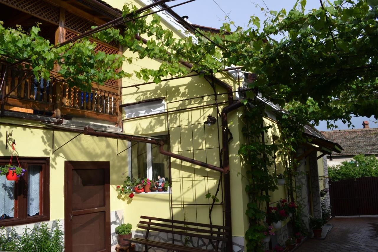 Проживание в семье Casa Maria Şura Mică-27