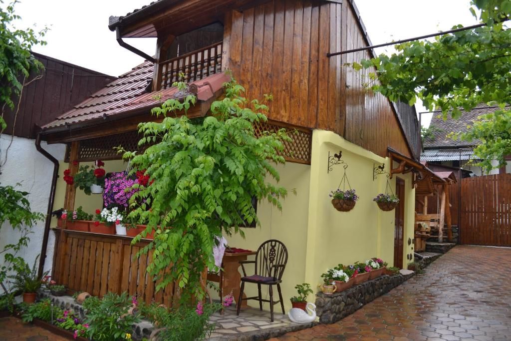 Проживание в семье Casa Maria Şura Mică