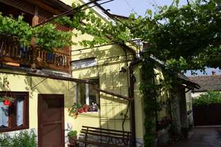 Проживание в семье Casa Maria Şura Mică Двухместный номер с 1 кроватью и собственной ванной комнатой-4