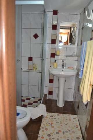 Проживание в семье Casa Maria Şura Mică Двухместный номер с 1 кроватью и собственной ванной комнатой-12