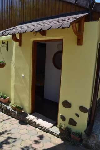 Проживание в семье Casa Maria Şura Mică Двухместный номер с 1 кроватью и собственной ванной комнатой-13