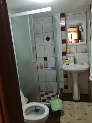 Проживание в семье Casa Maria Şura Mică Двухместный номер с 1 кроватью и собственной ванной комнатой-21