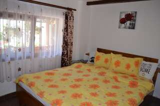 Проживание в семье Casa Maria Şura Mică Двухместный номер с 1 кроватью и собственной ванной комнатой-25